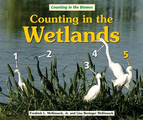 Book cover: Counting in the grasslands